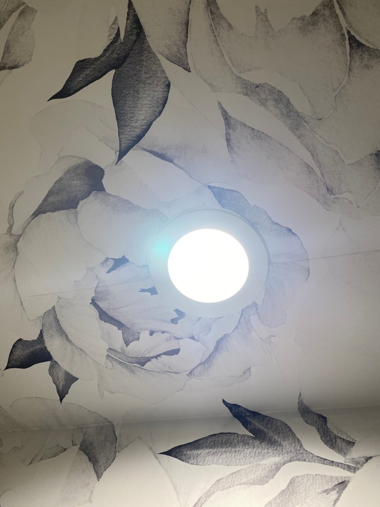 Ceiling recessed light in the middle of the wallpaper with black and white peonies